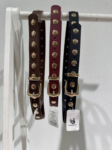 Cintura bassa borchie piatte oro 2