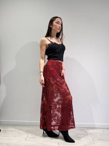 Gonna lunga in tulle ricamata